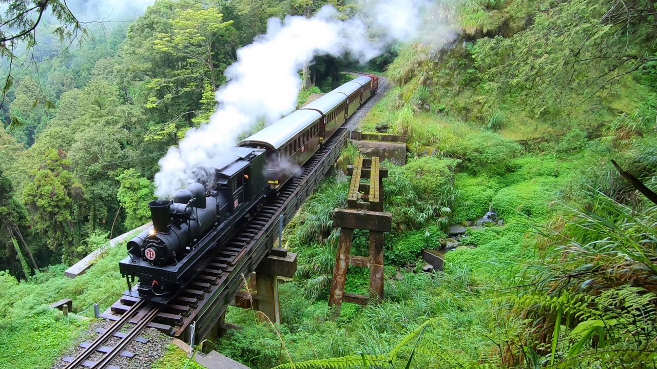 [Алишанская лесная железная дорога] 28 тонн SHAY SL-31, 2019