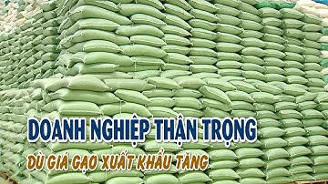 Xuất khẩu gạo tiếp tục khởi sắc | VTV CẦN THƠ