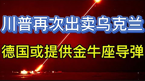 美国为结束俄乌战争提出新和平方案；乌克兰特使凯洛格将军将卸任；德国或提供“金牛座”导弹；20251120-1
