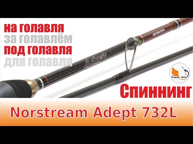 Спиннинг под голавля Norstream Adept 732L.