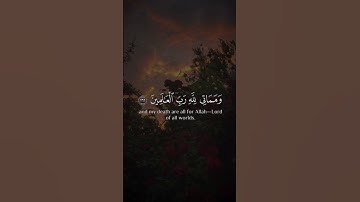 تلاوه من سورة الأنعام|بصوت الشيخ ياسر الدوسري🎧♥️#trending #quran #قران_كريم #راحة_نفسية #قرآن