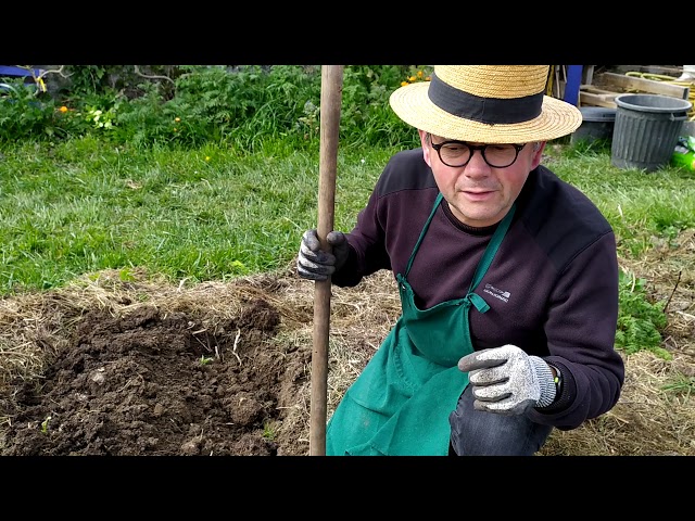 Sols pauvres, pas de problème : voici les champions du potager qui n’ont besoin de rien