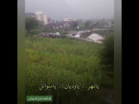 ايوب طارش عبسي يانهر ياوديان ياسوائل مع اجمل منضر للطبيعه وقت هطول المطر مونتاح عمار مغلس