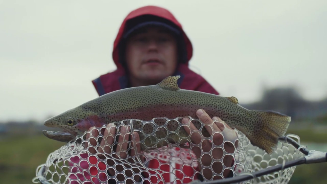 Crychevychy Area Fishing