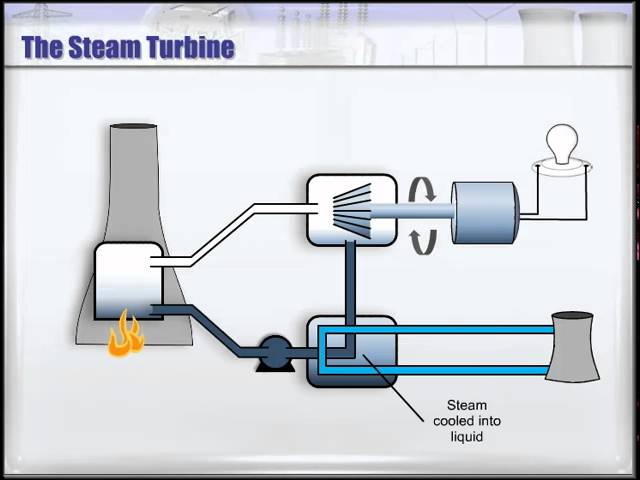 The Steam Turbine 