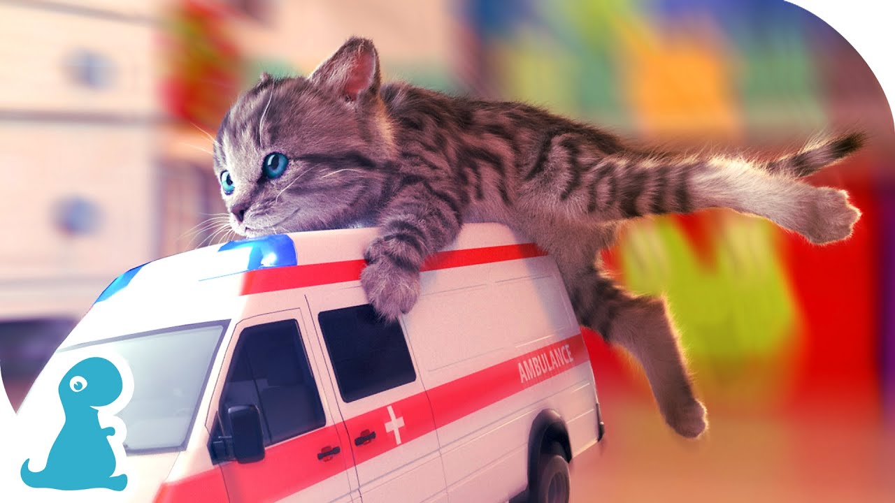FUN LITTLE KITTEN ADVENTURES - HAPPY KITTEN ON AN ADVENTUROUS JOURNEY