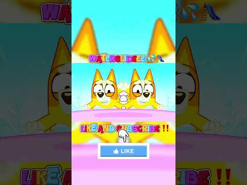 Présentation des Salles de Bingo Gransino
