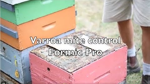 Varroa Mite Control - Formic Pro