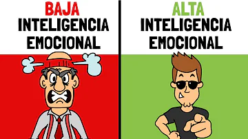 ¿Cuáles son las 3 cosas que hace alguien con una Inteligencia Emocional Alta?