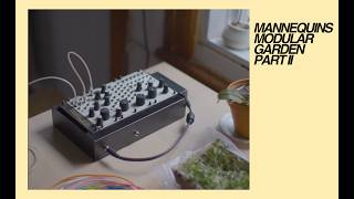 Mannequins THREE SISTERS - Eurorack Module on ModularGrid