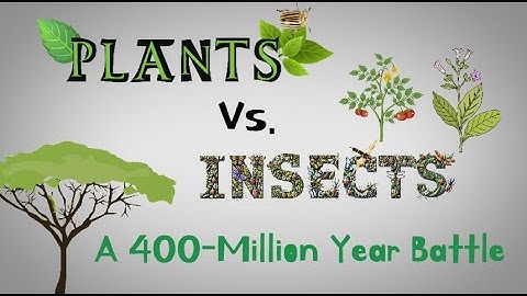 Plants vs. Insects, Episode 1: A 400-Million-Year Battle