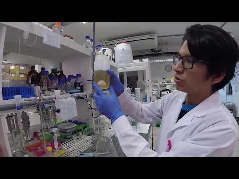 Vídeo: Painel De Proteínas Recombinantes De Espécies De Plasmodium Infecciosas Para Humanos Para Vigilância Sorológica