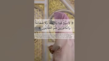 سورة البقرة - ٢٥٤ #القرآن_الكريم #اكسبلور #المصحف