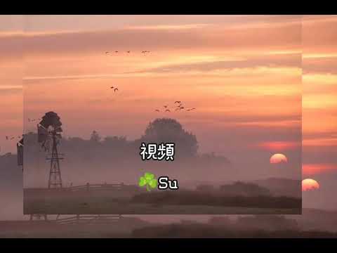 🌿 最後的溫柔♥️（王 傑）