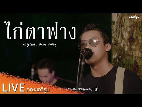 ไก่ตาฟาง - คณะเอวีรูม【LIVE Version】| Original : ธันวา ราศีธนู 4K