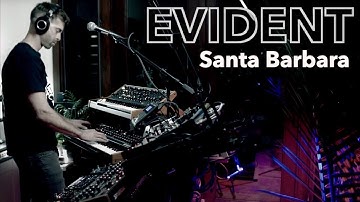 Evident - (Strymon Volante with Moog Subsequent 37) (Prophet Rev 2 with Strymon Timeline) Ambient