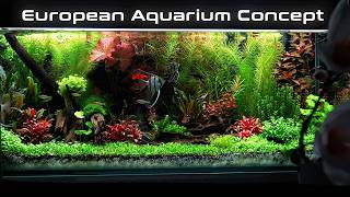 Plants First: The Old-School Aquascaping Style Making a Comeback?