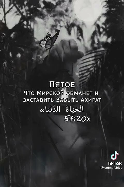 Усман ибн Аффан - YouTube