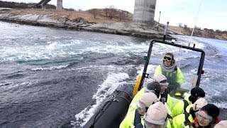 Saltstraumen  Gezeitenstrom in Bodø, Nordnorwegen