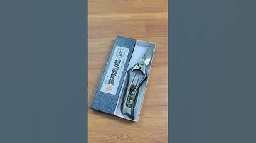 Siêu phẩm Bông lúa Murahisa 22,5cm #0376628645 @dungcubonsaihaidu #kéocắtcành #dungcubonsai #trend