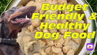 Healthy Homemade Dog Food | Low cost | Easy make |