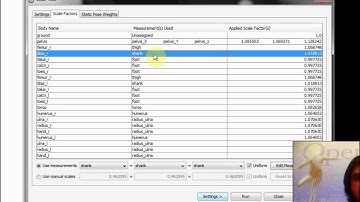 The Scale Tool:  Setting Up