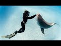 Bahamas 2020: SHARK MISSION - Incontriamo gli SQUALI TIGRE - Giulia Calcaterra e Nick Pescetto