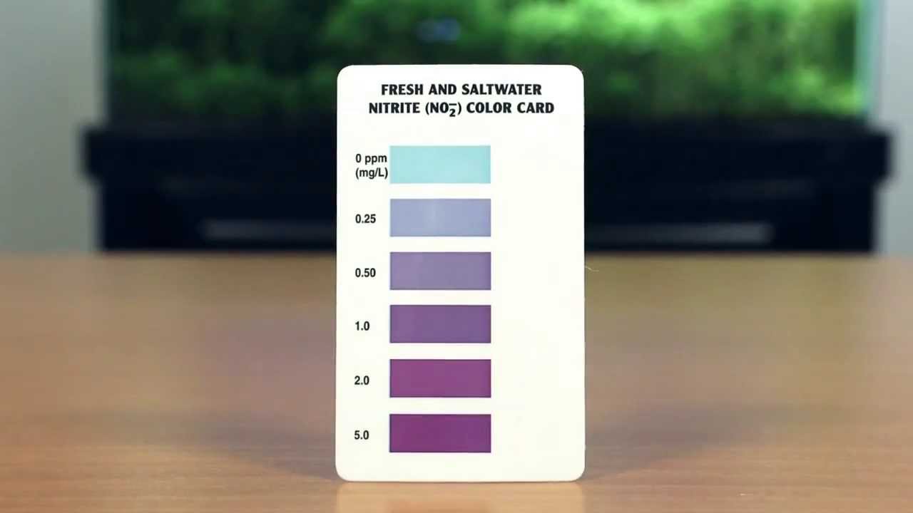 Tetra Test No2 Colour Chart