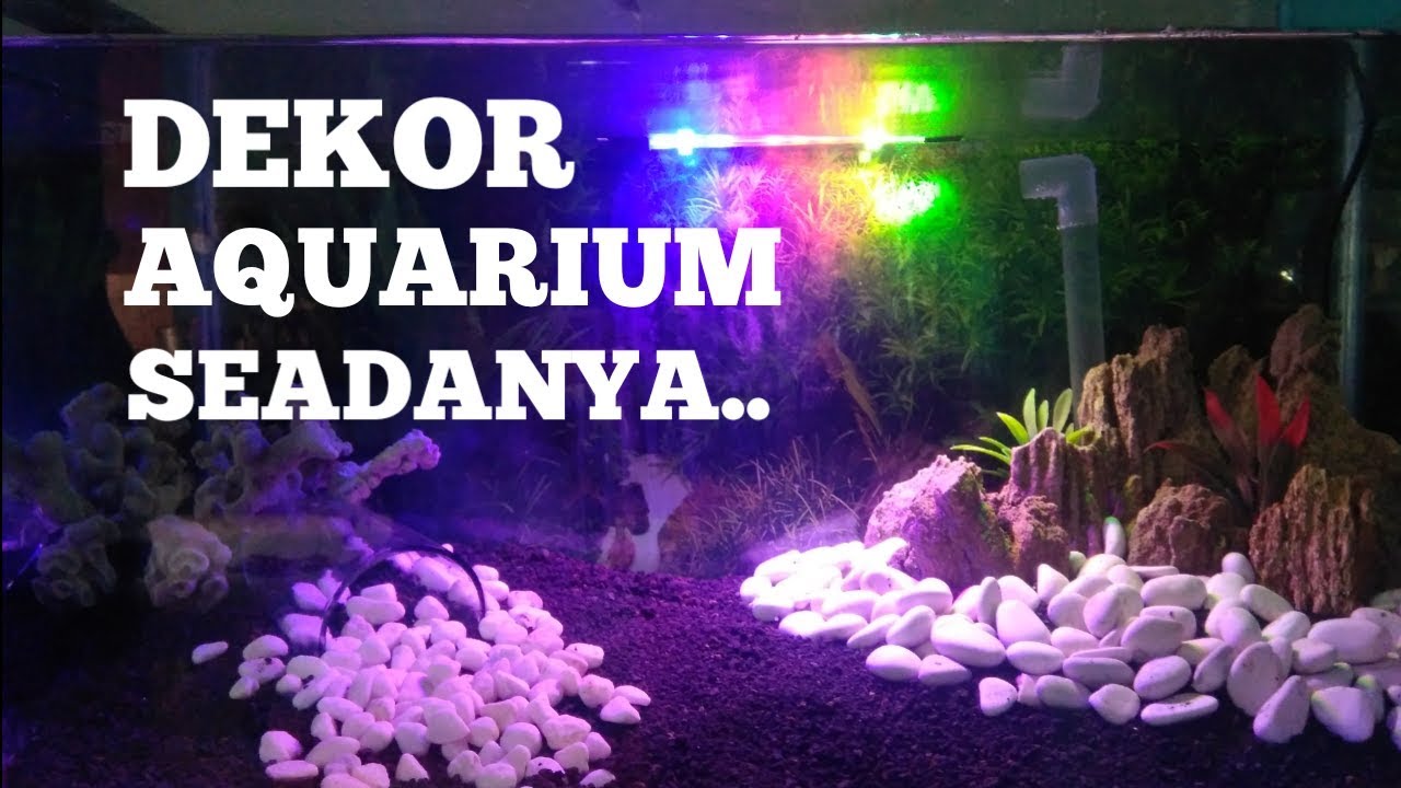  DEKORASI AQUARIUM  YouTube