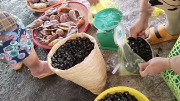 Dạo quanh chợ Phan Rí | bán hải sản tươi rất nhiều.