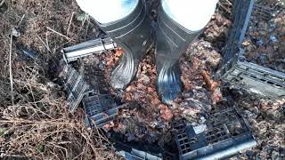 Rubber boots vs plums 14