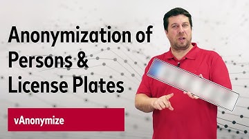 Anonymization of Persons & License Plates with vAnonymize