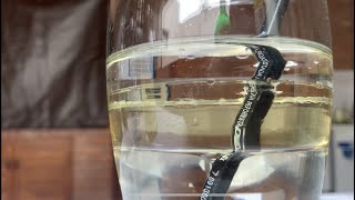 Refracción de la Luz - Agua, Aceite y un Lapiz