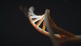 DNA: New home for world's data? • FRANCE 24 English