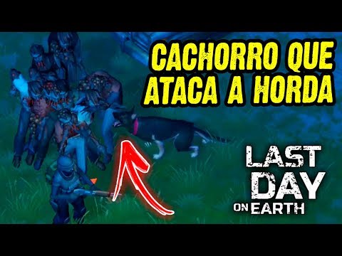 CONSEGUI Cachorro que
