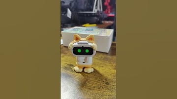 AIBI Robot- Sings in full Ginger cat costume.   #aibi #livingai #aibipocketrobot #aibirobot #robot