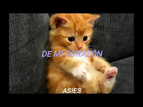Maricarmen Marin -