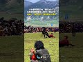 【大陸】絕技！男子在四川理塘上演馬背「草上飛」