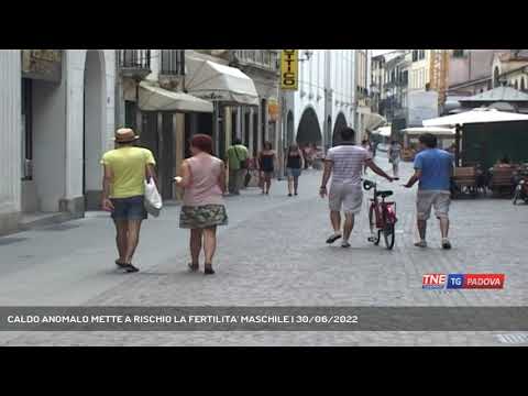 CALDO ANOMALO METTE A RISCHIO LA FERTILITA' MASCHILE | 30/06/2022