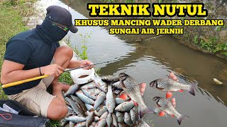 CARA MANCING IKAN WADER DERBANG MANTAP PANEN