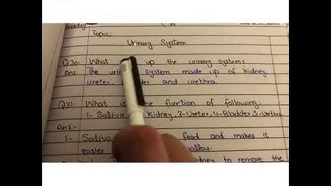 Class - 5 l Science l Lecture 24 Part 2 l Spring Holidays