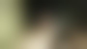 Deceit Kills and Bugs