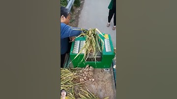 cách Trung Quốc chế ra con máy cắt đầu củ hành rất là nhanh lẹ