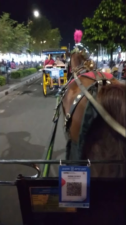 Naik Kuda Delman di Jogja Malam Hari (2021)