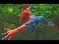 The Amazing Spider-Man (Video Game) Walkthrough - Chapter 4: The Thrill of the Hunt