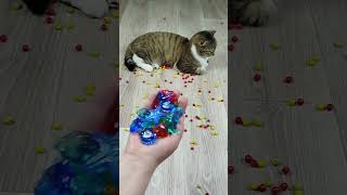 Cat Barsik ❤ Marbles 🔴 Reverse Video ASMR