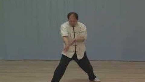 Tai Chi Pushing Hands Training