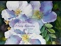 Wild White Roses Part One - A Painting Demo