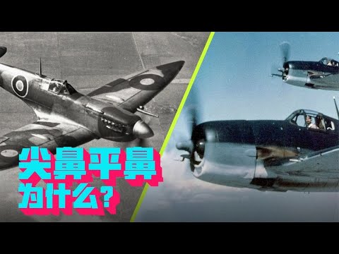 二战时期，太平洋上空和欧洲上空的战斗机，为什么不太一样？【科学火箭叔】