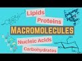 Macromolecules | Classes and Functions